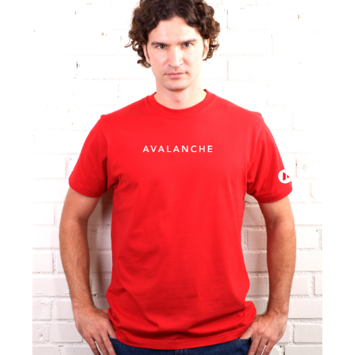 Avalanche TEE