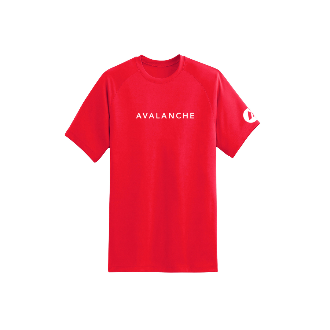 Avalanche TEE